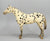 Lady Phase, Black Leopard Appaloosa