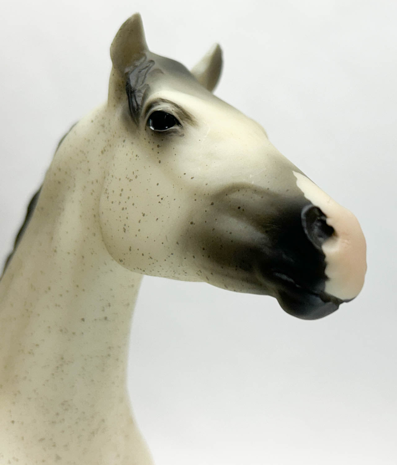 Lady Phase, Flea-Bitten Grey - Treasure Hunt