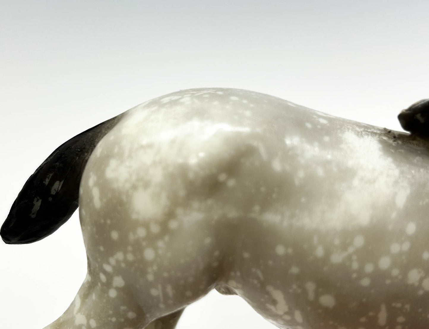 Clydesdale, Dapple Grey - JCP SR