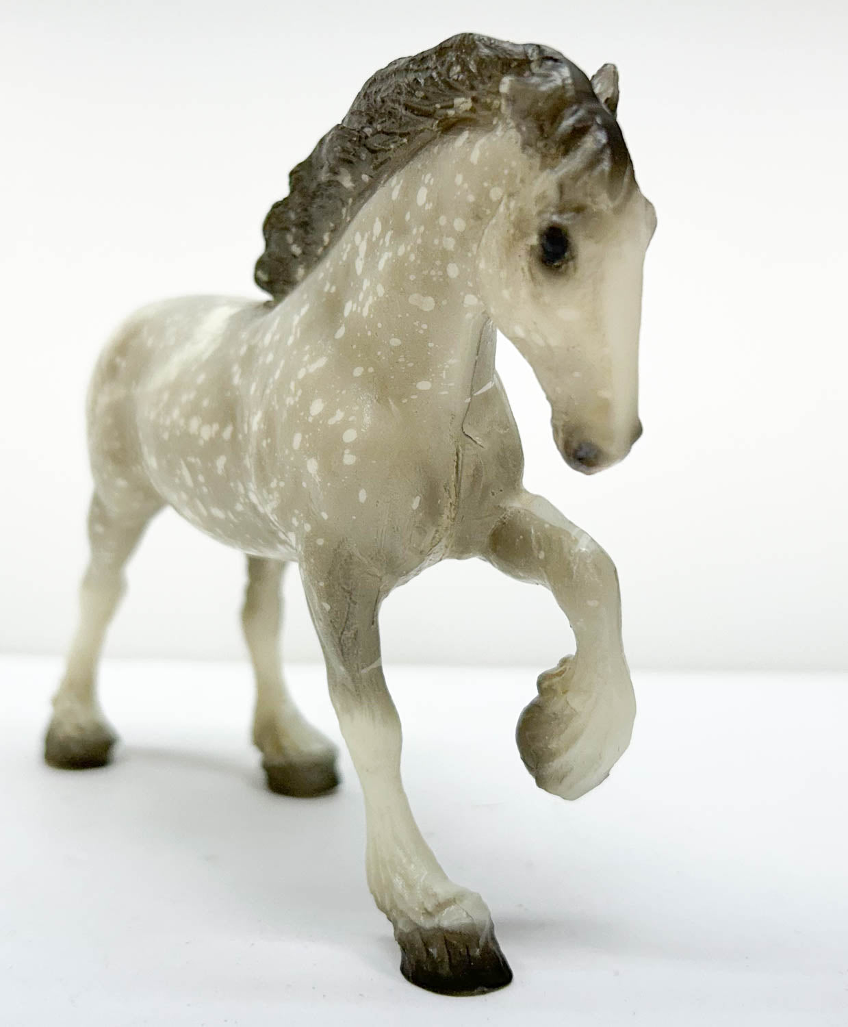 Clydesdale, Dapple Grey - JCP SR