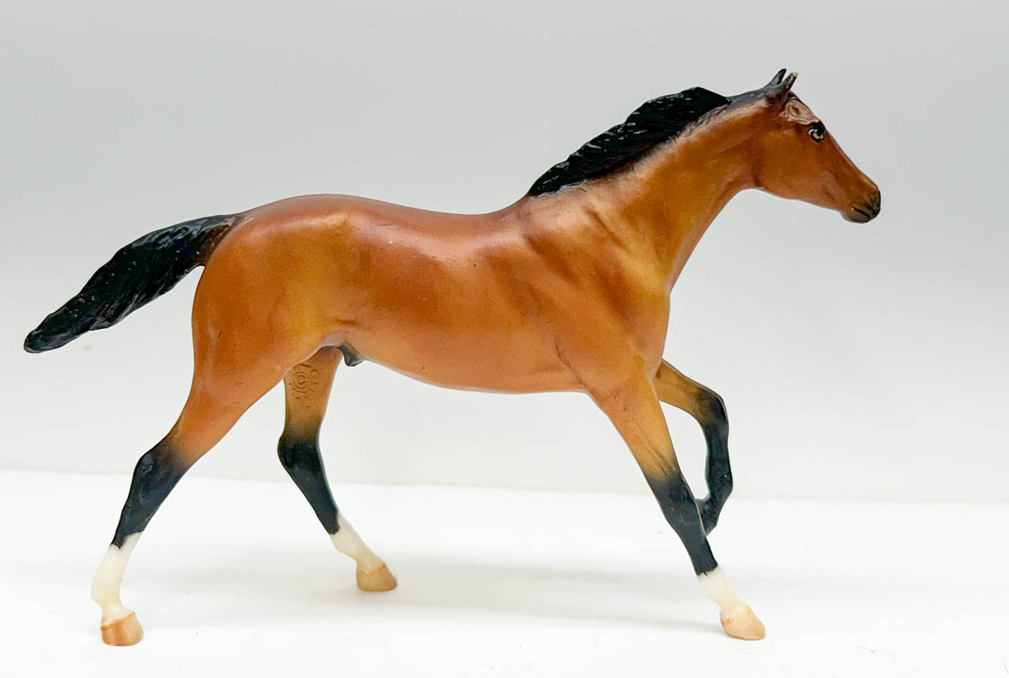Thoroughbred, Light Bay