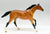 Thoroughbred, Light Bay