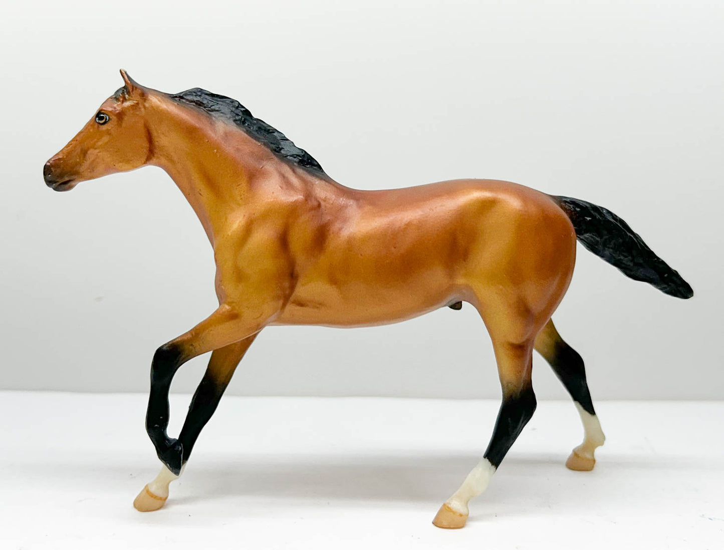 Thoroughbred, Light Bay