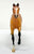 Thoroughbred, Light Bay