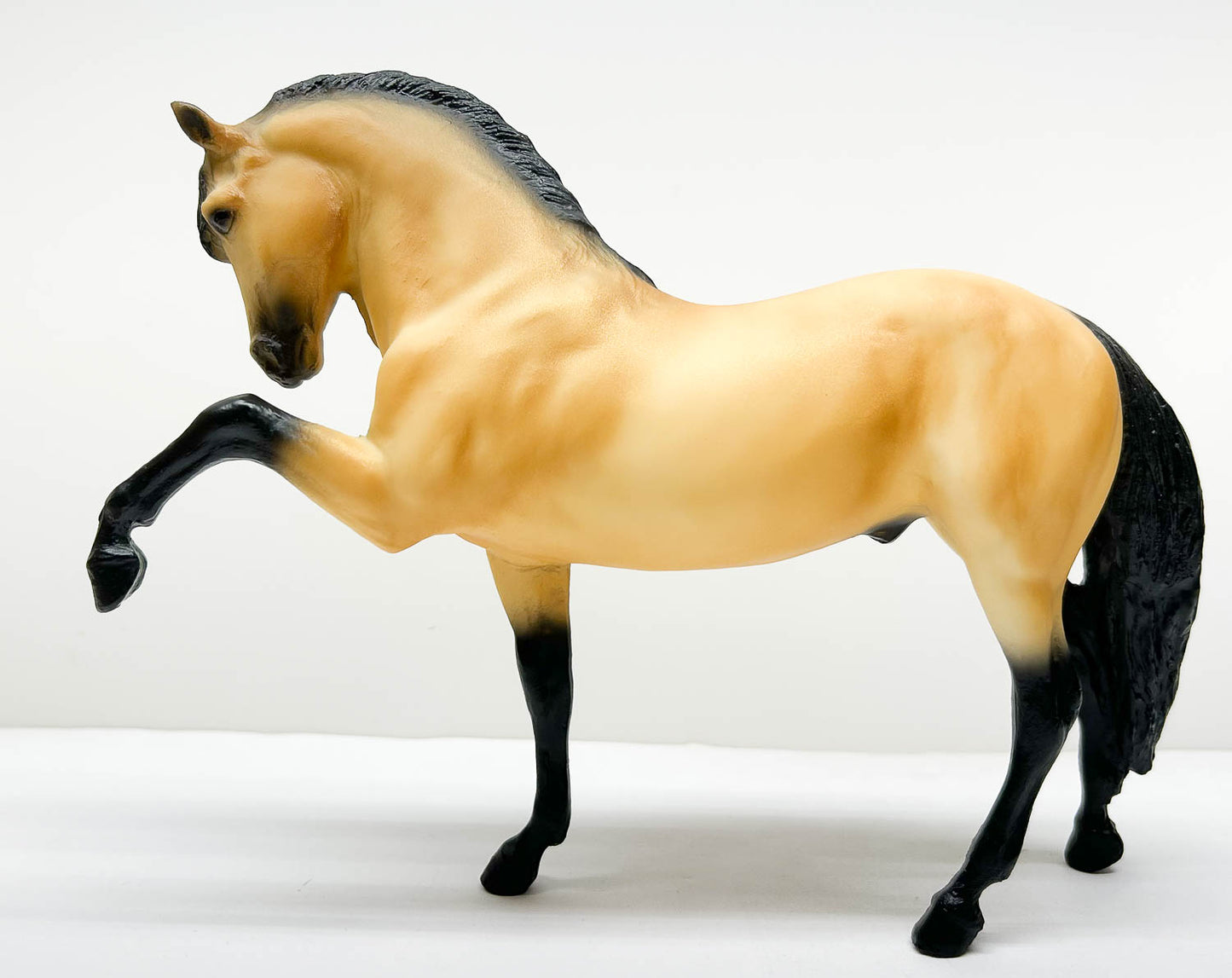 Legionario III ~ Lavrador w/ Hang Tag