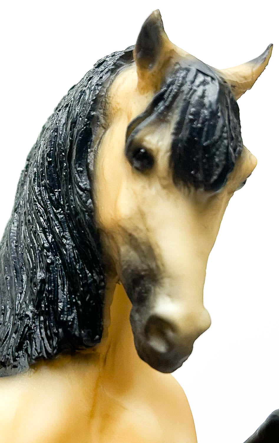 Legionario III ~ Lavrador w/ Hang Tag