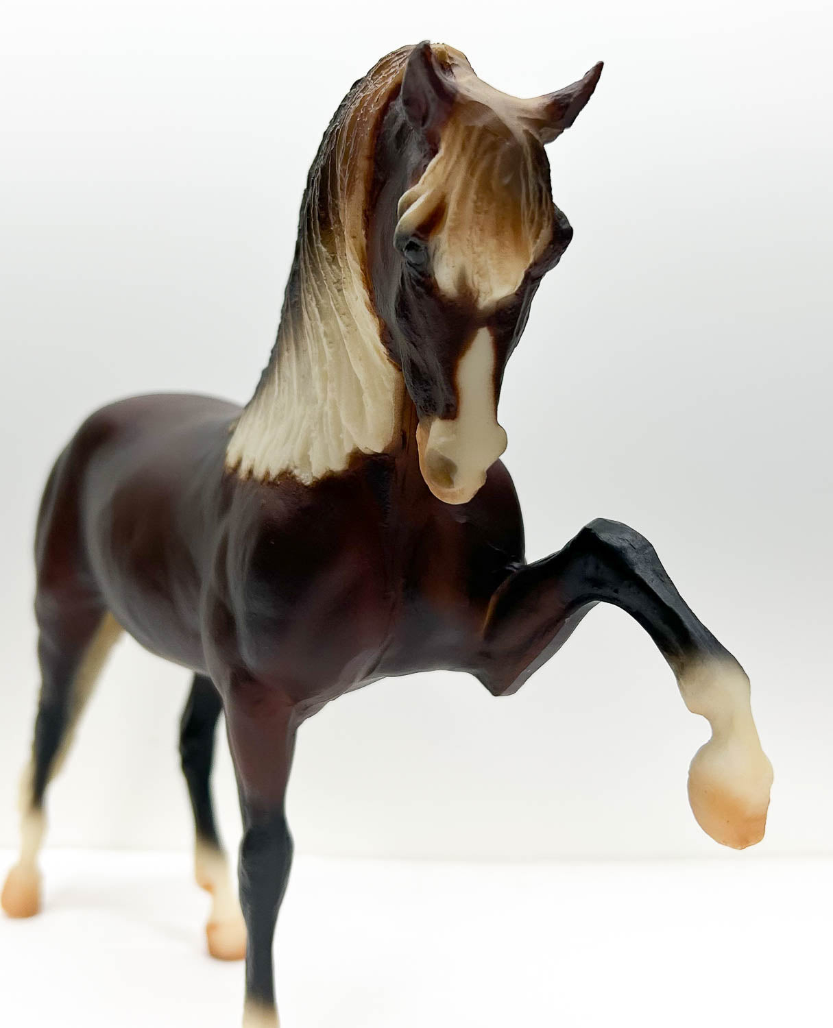 Legionario III ~ Promenade