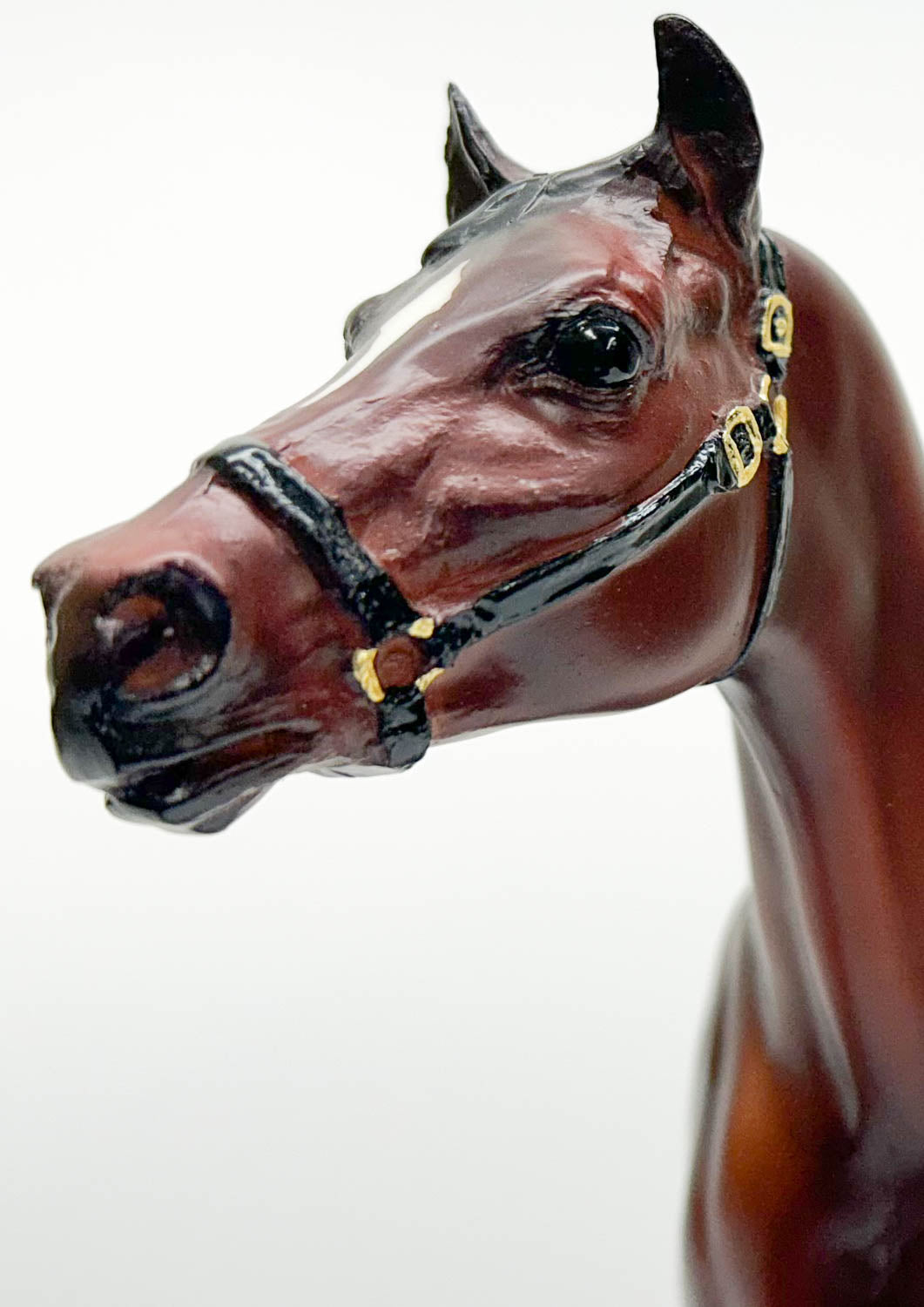 Man O' War ~ "War Horse" Joey - Limited Edition