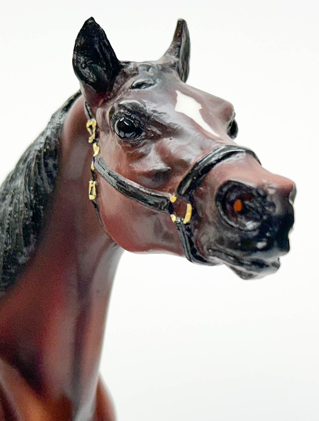 Man O' War ~ "War Horse" Joey - Limited Edition