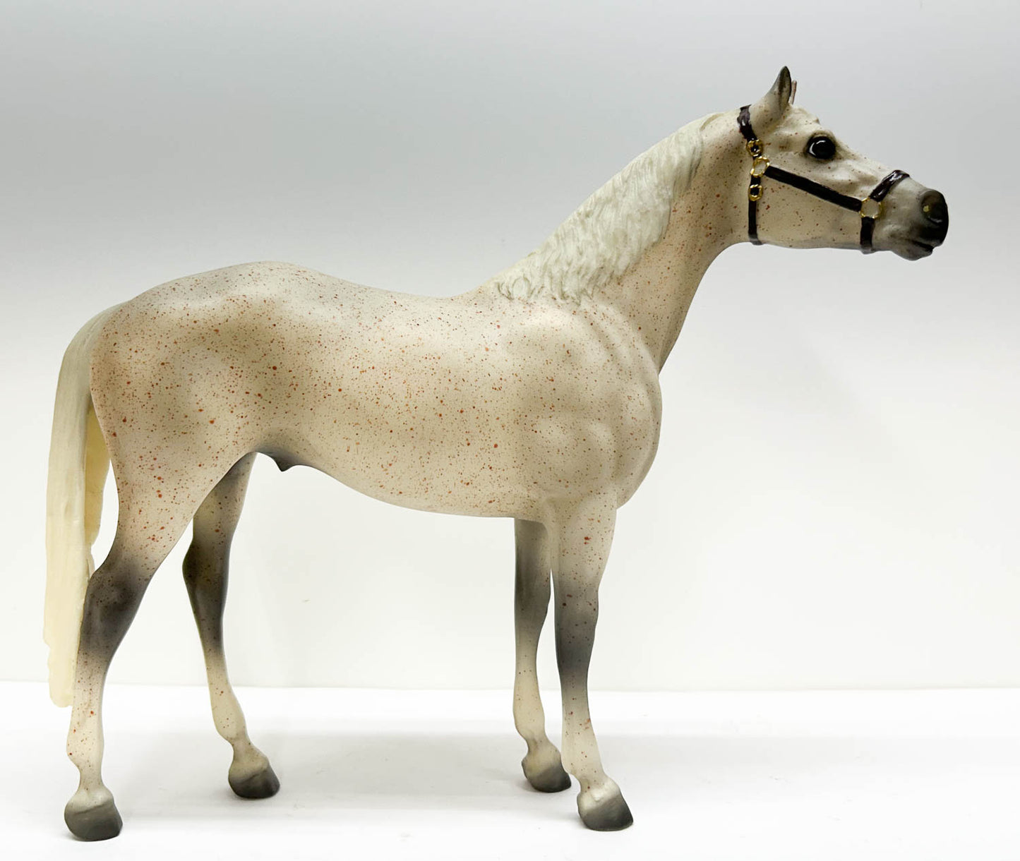 Man O' War ~ Spectacular Bid w/ Blanket