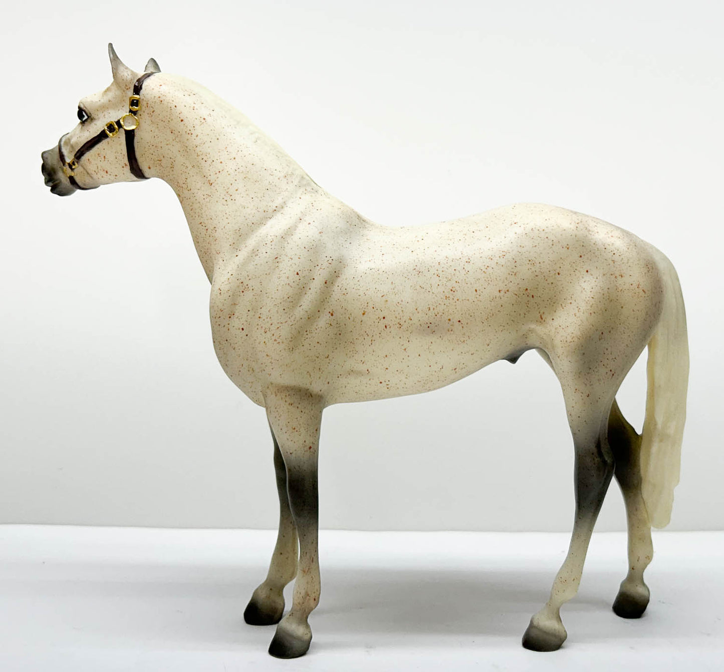Man O' War ~ Spectacular Bid w/ Blanket