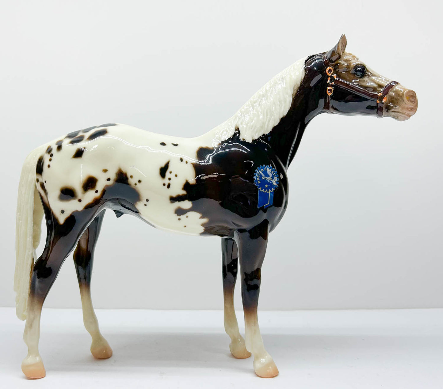 Man O' War ~ Storm - 2016 Vintage Club