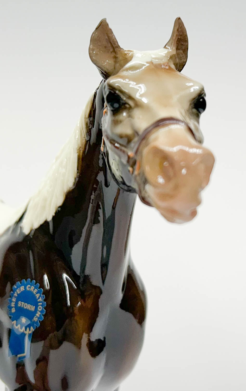 Man O' War ~ Storm - 2016 Vintage Club