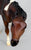 Thoroughbred Mare and Nursing Foal ~ Cupid and Arrow