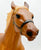 Pacer, Golden Chestnut w/ Sulky Set - JCP SR