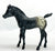 Phantom Wings, Black Appaloosa (Rough Coat Stock Horse Foal)