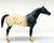 Pony of the Americas ~ Pantomime