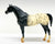 Pony of the Americas ~ Pantomime