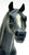 Pony of the Americas ~ Pantomime