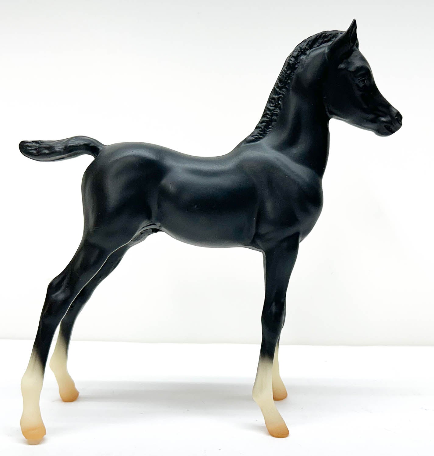 Proud Arabian Foal, Black