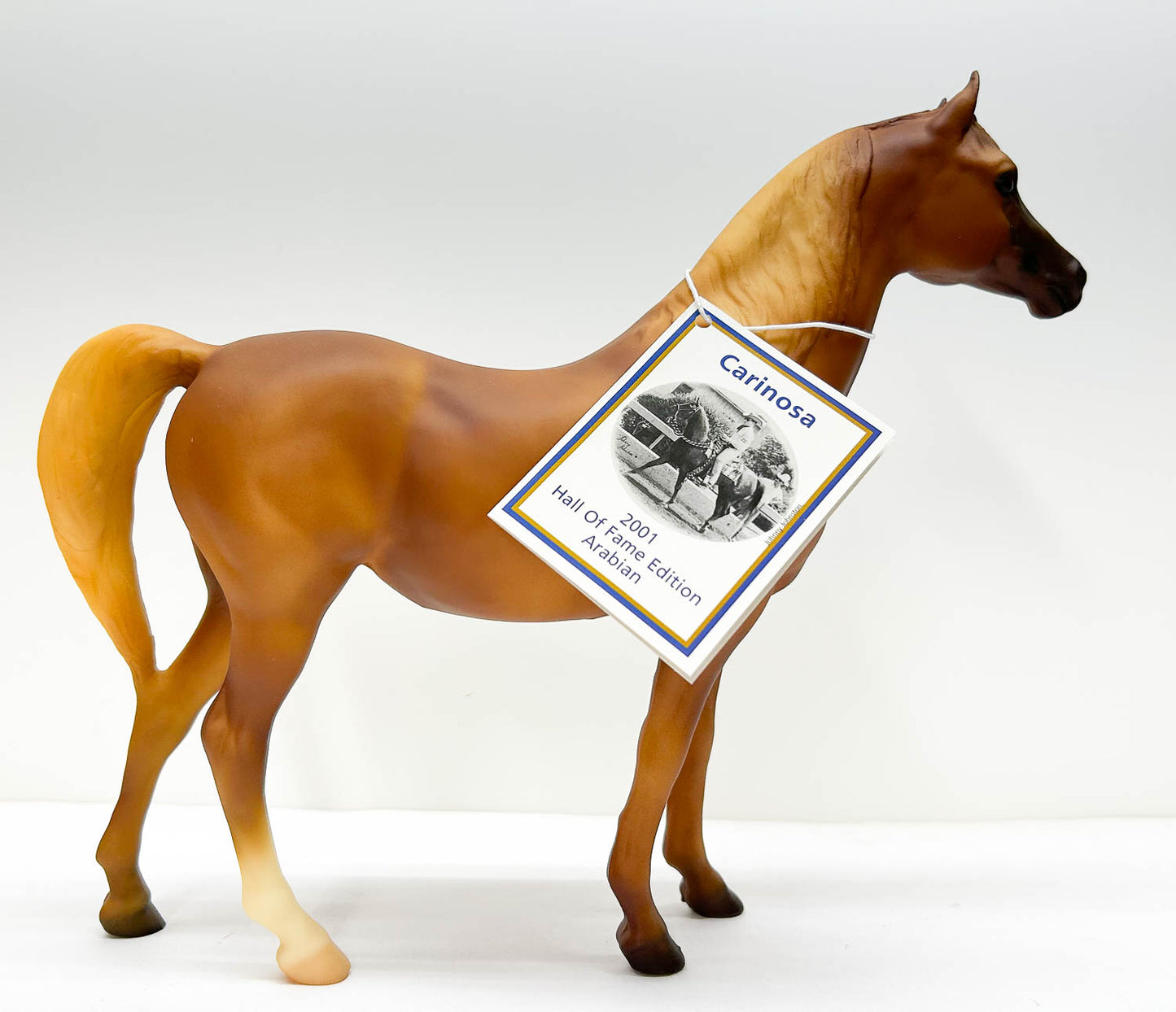 Proud Arabian Mare ~ Carinosa