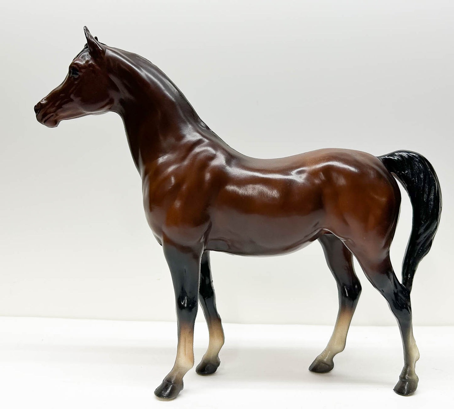 Proud Arabian Mare, Mahogany Bay - 4-Sock Version, Semi-Gloss