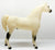 Proud Arabian Stallion ~ Buffalo Bill's Isham - 2003 TSC SR