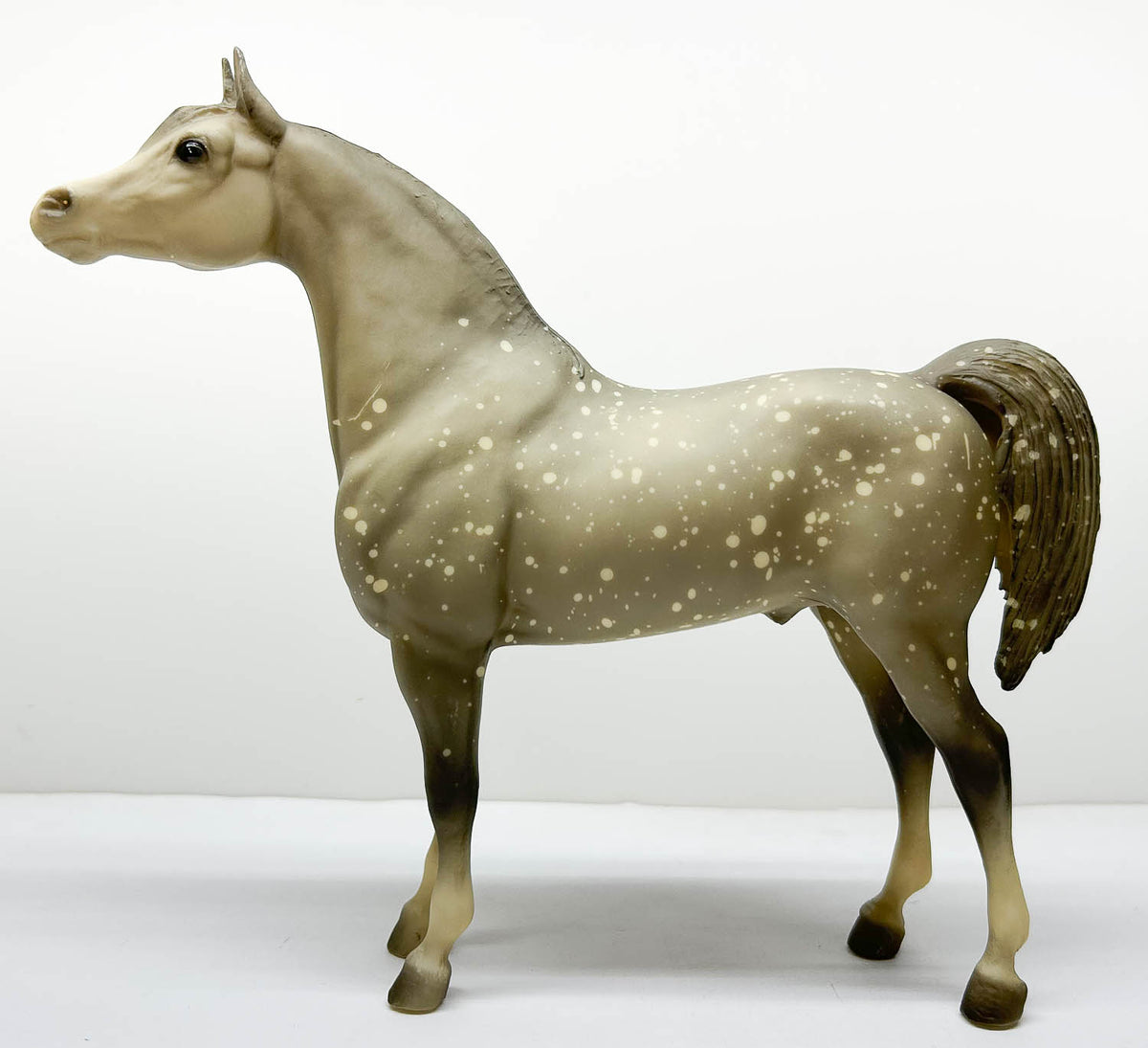 Proud Arabian Stallion, Dapple Grey, Matte