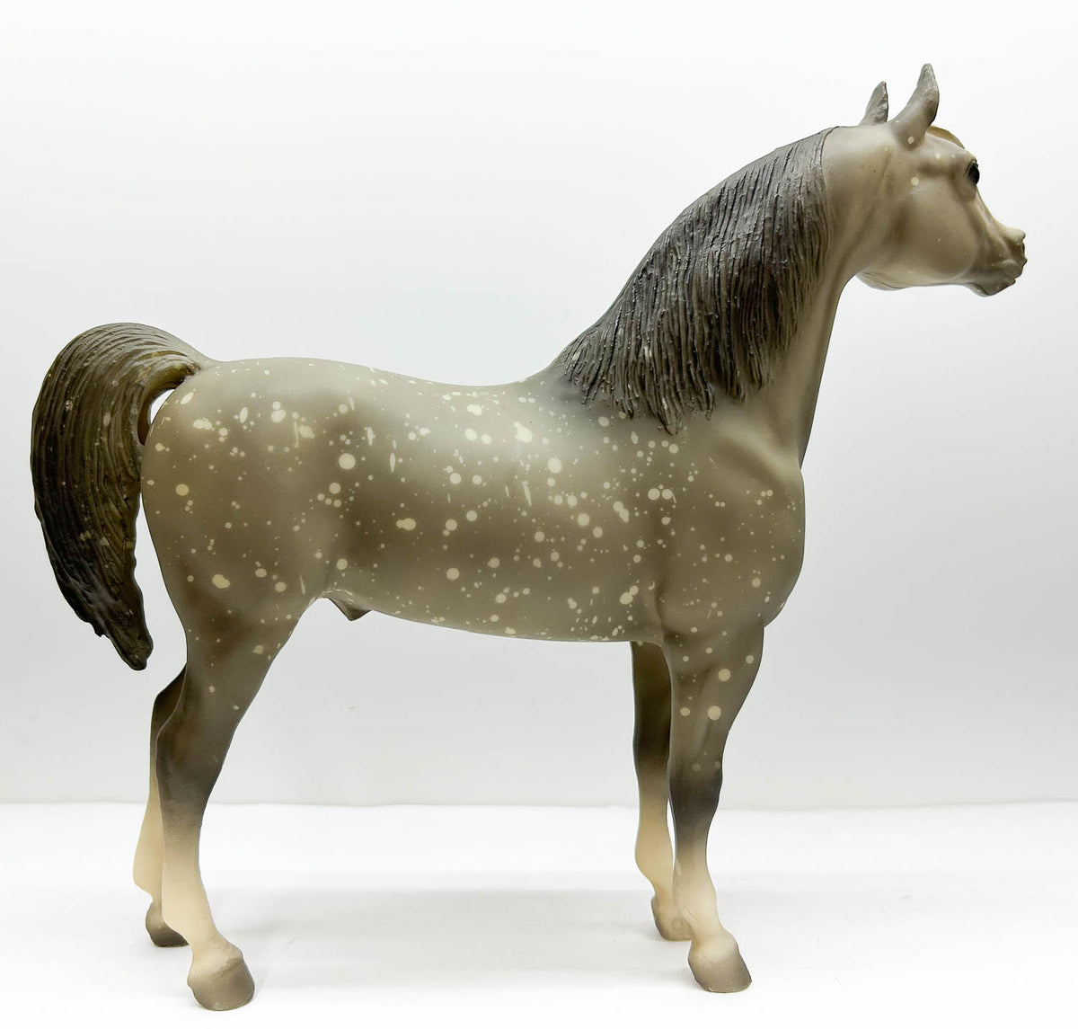 Proud Arabian Stallion, Dapple Grey, Matte