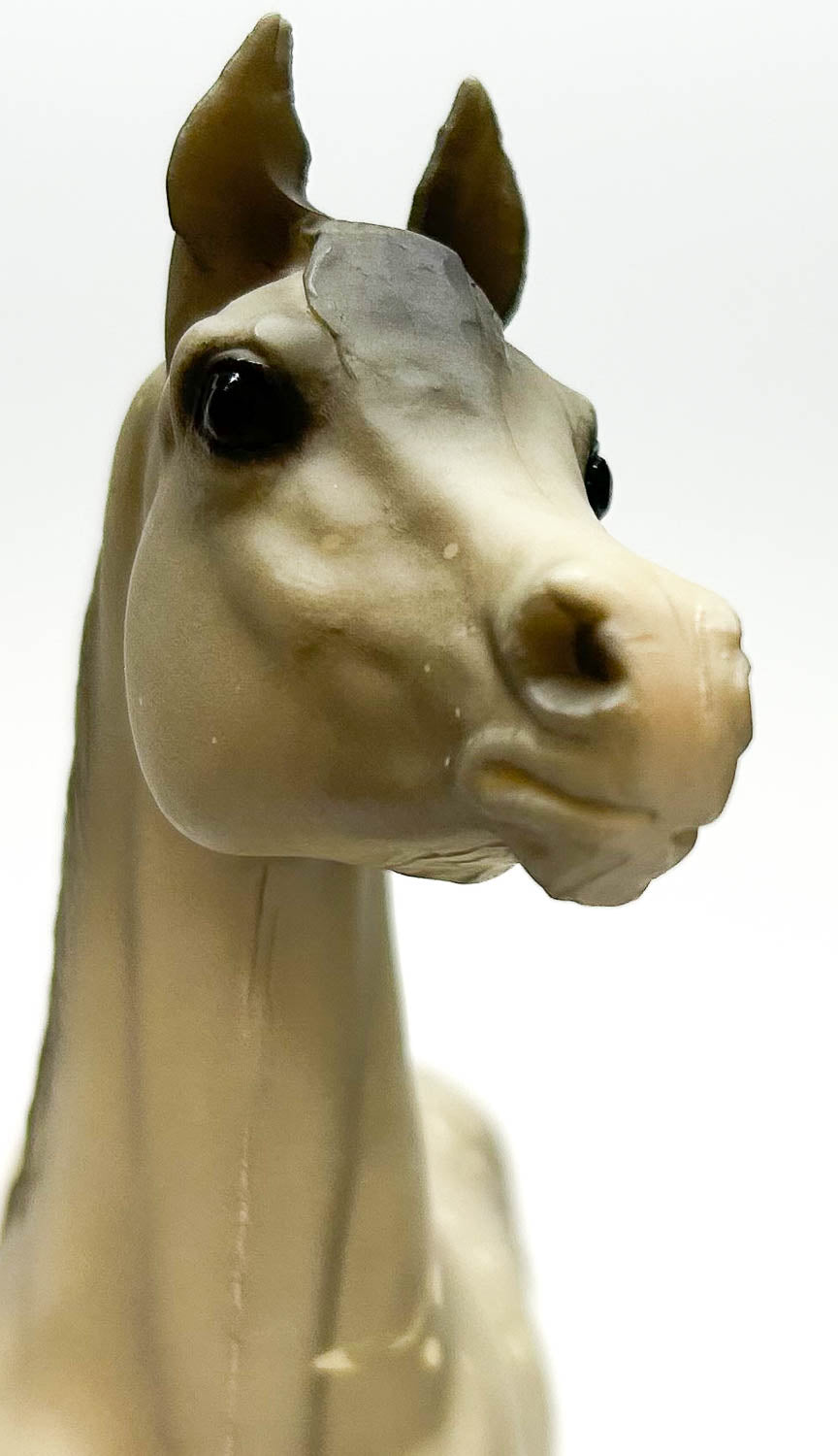 Proud Arabian Stallion, Dapple Grey, Matte