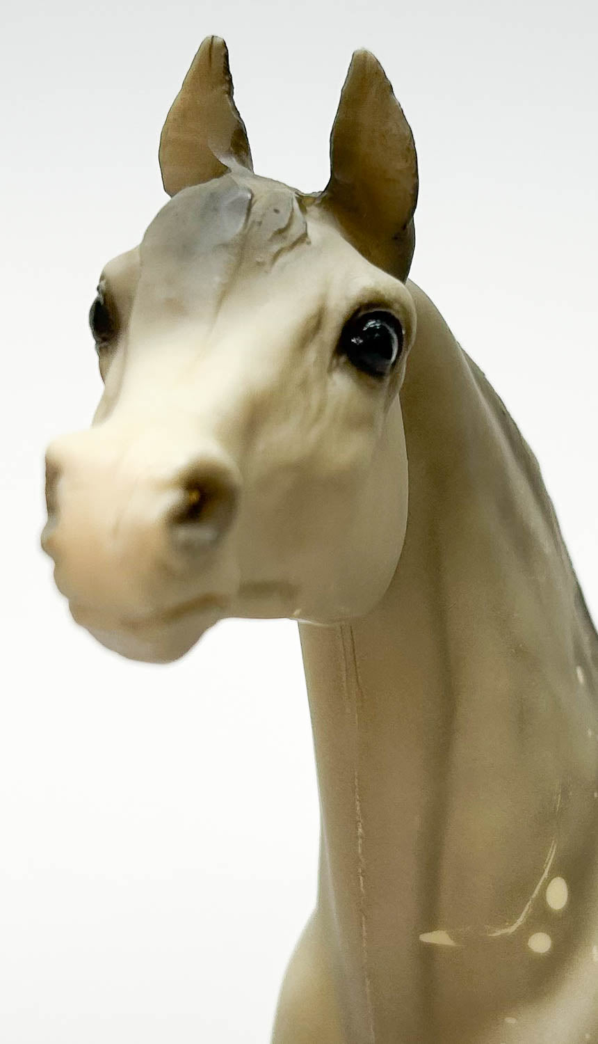 Proud Arabian Stallion, Dapple Grey, Matte