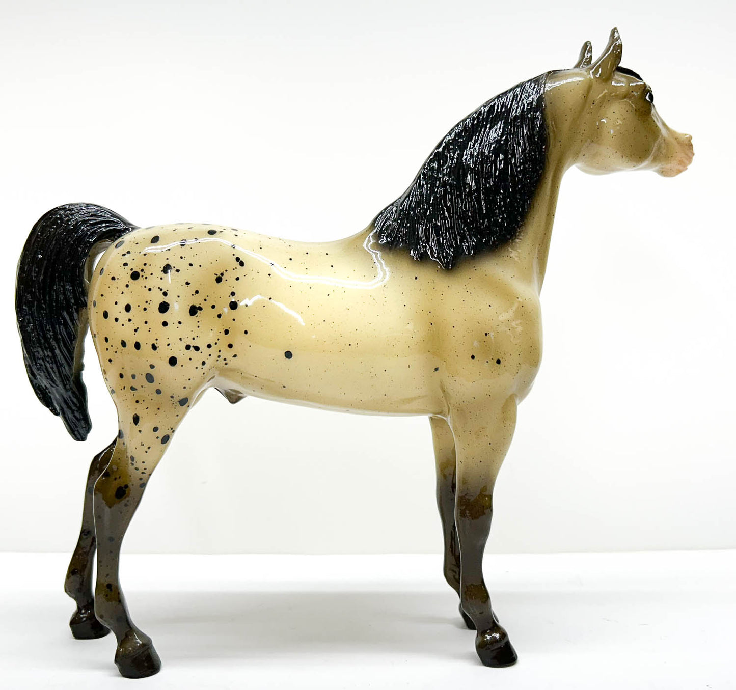 Proud Arabian Stallion ~ Harlequin - Vintage Club - 500 Made