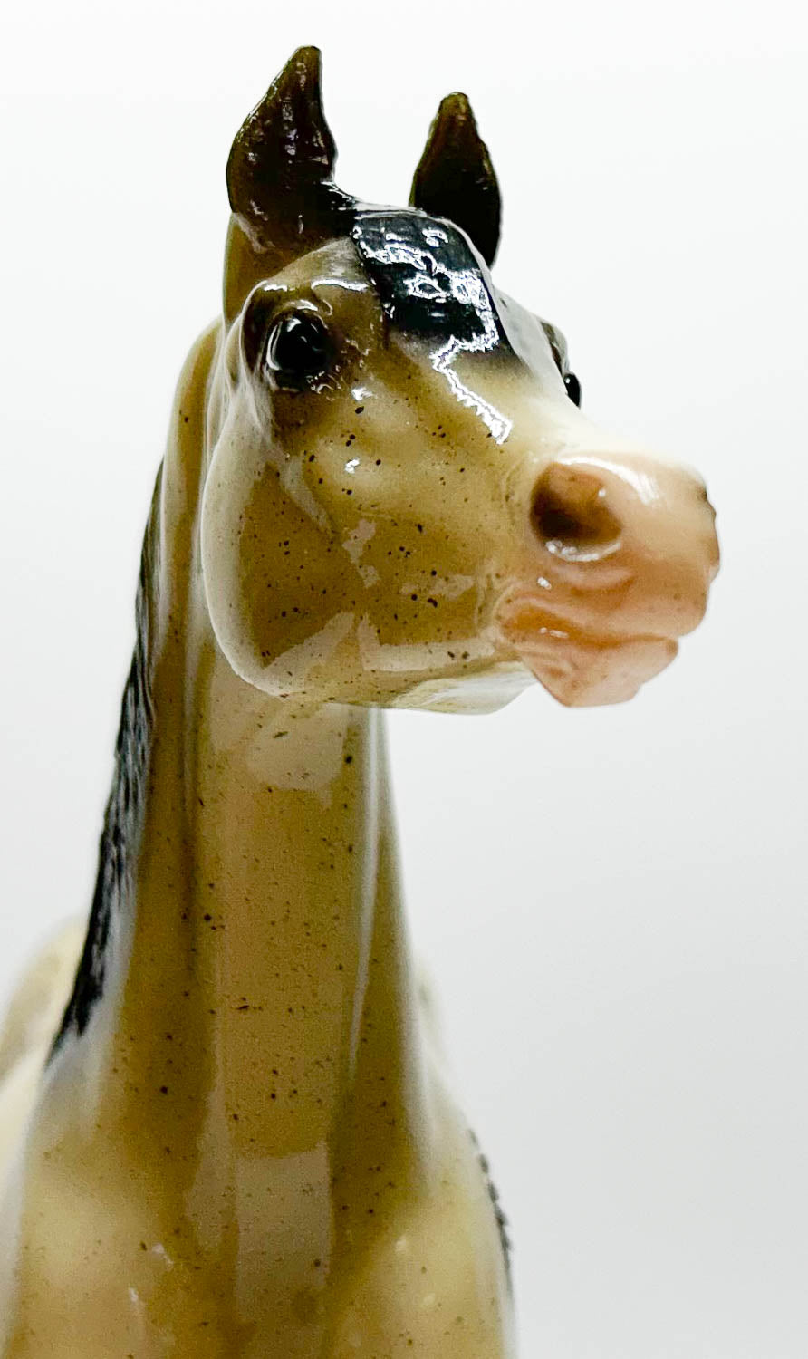 Proud Arabian Stallion ~ Harlequin - Vintage Club - 500 Made
