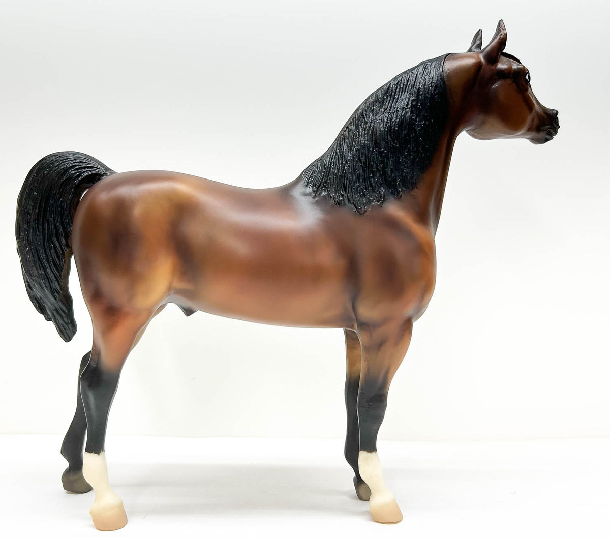 Proud Arabian Stallion ~ Thee Desperado