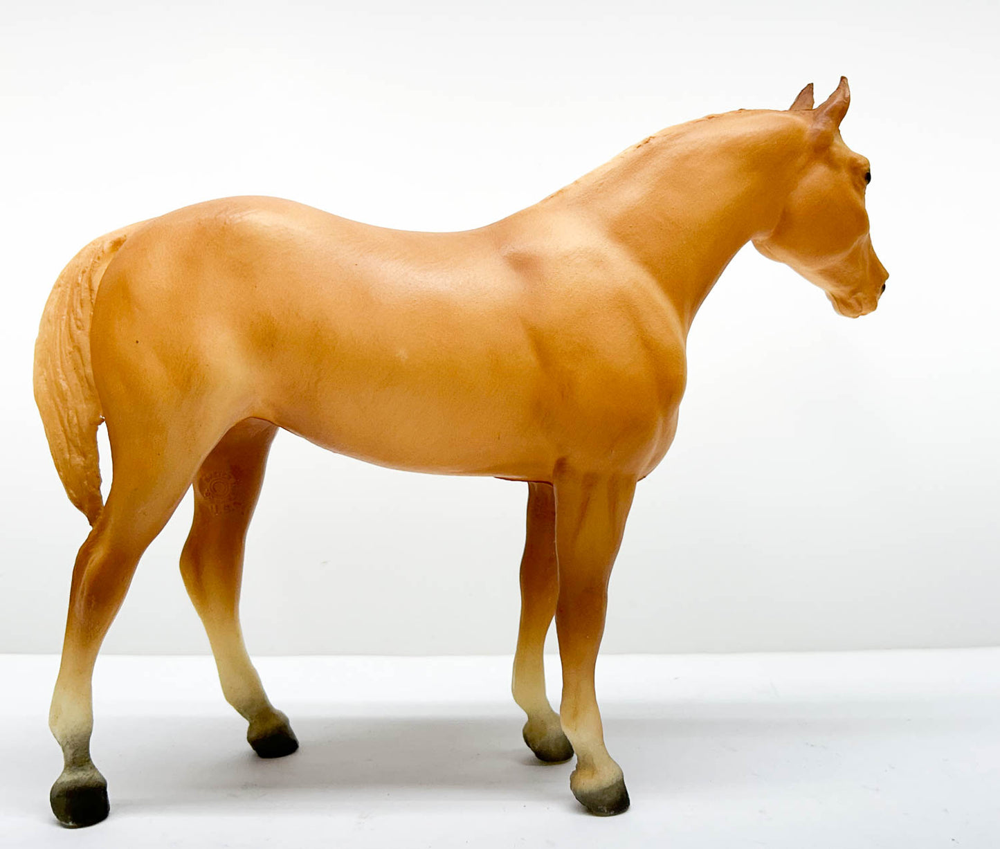 Quarter Horse Yearling, Palomino