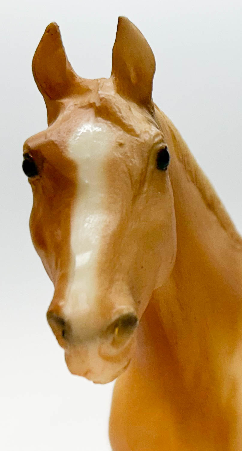 Quarter Horse Yearling, Palomino