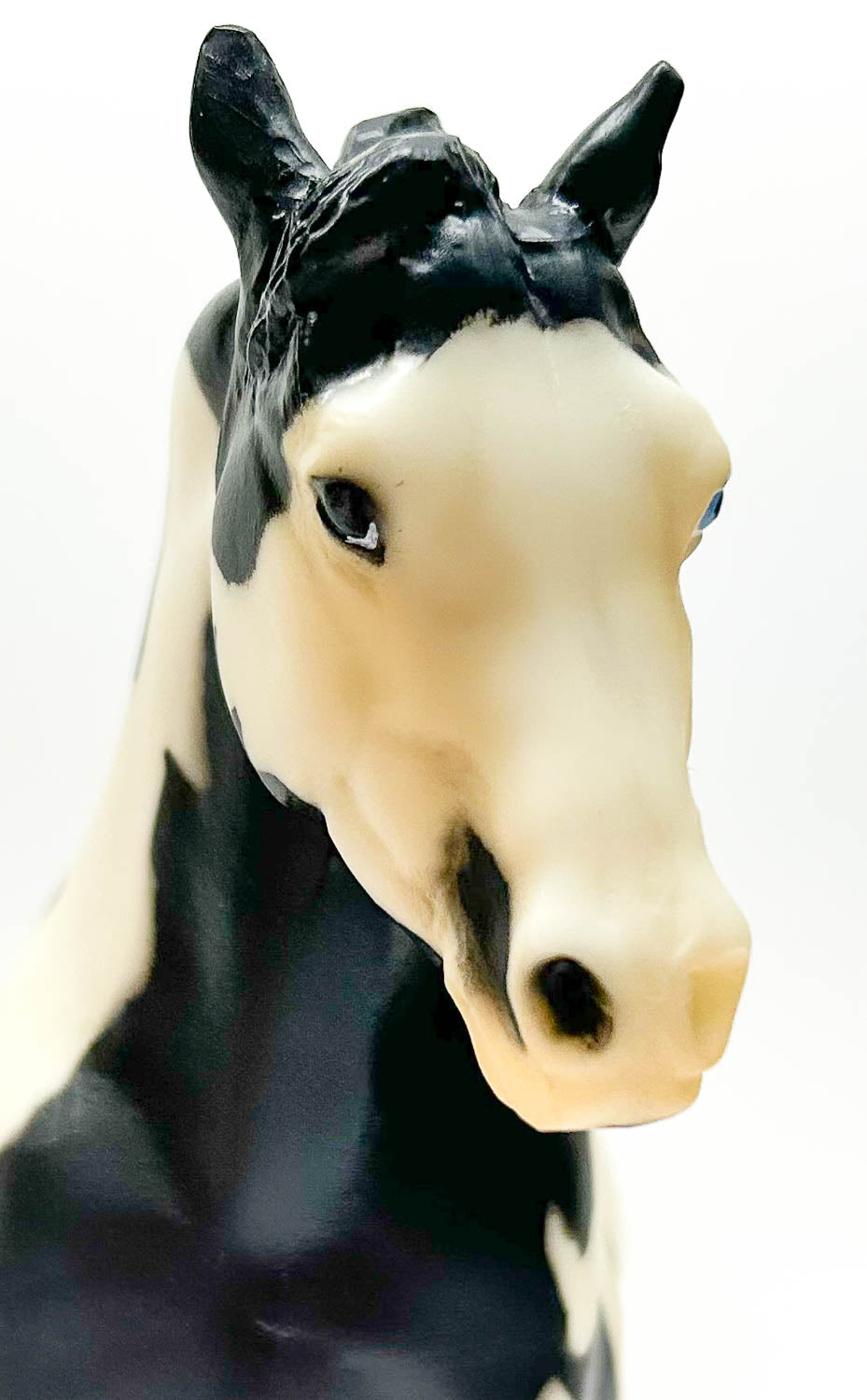 Ranch Horse ~ Cisco Kid's Diablo