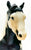 Ranch Horse ~ Cisco Kid's Diablo