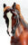 Ranch Horse, Liver Chestnut from ASPCA Set w/ Hang Tag