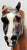 Ranch Horse, Liver Chestnut from ASPCA Set w/ Hang Tag