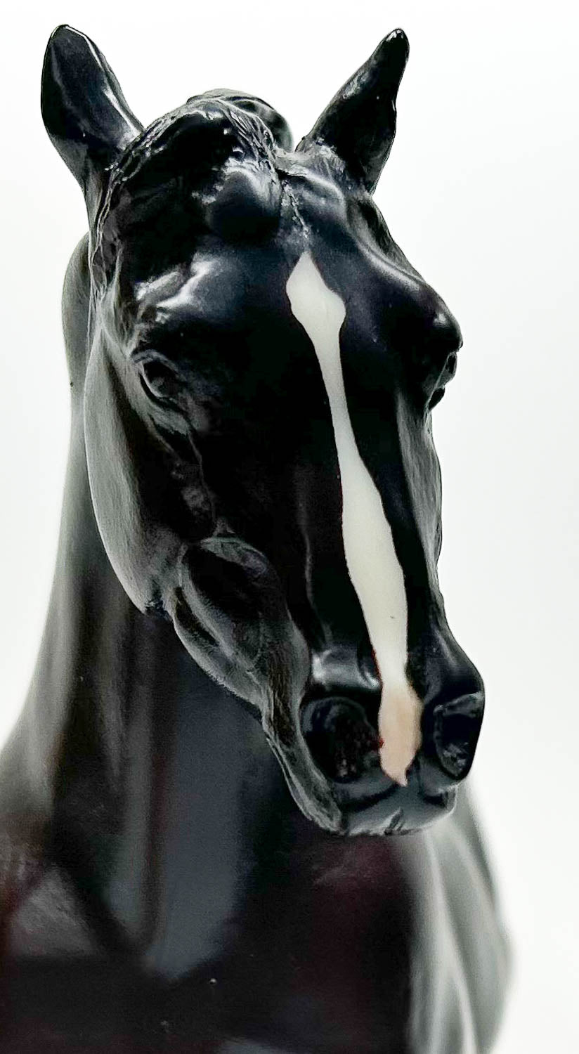 Ranch Horse ~ Pat Parelli's Casper