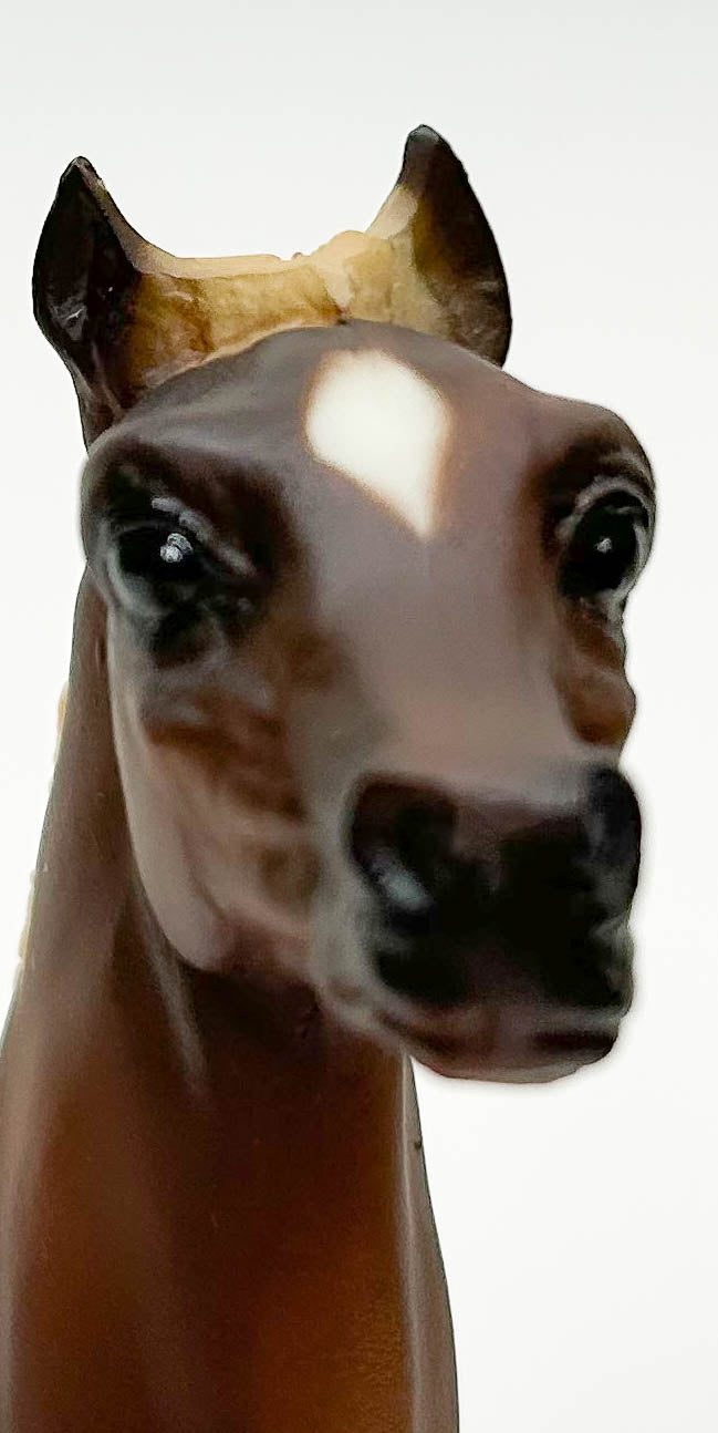 Running Foal, Liver Chestnut Pinto