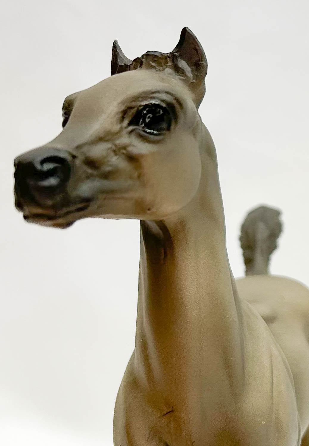 Running Foal, Rose Grey - JC Penney SR