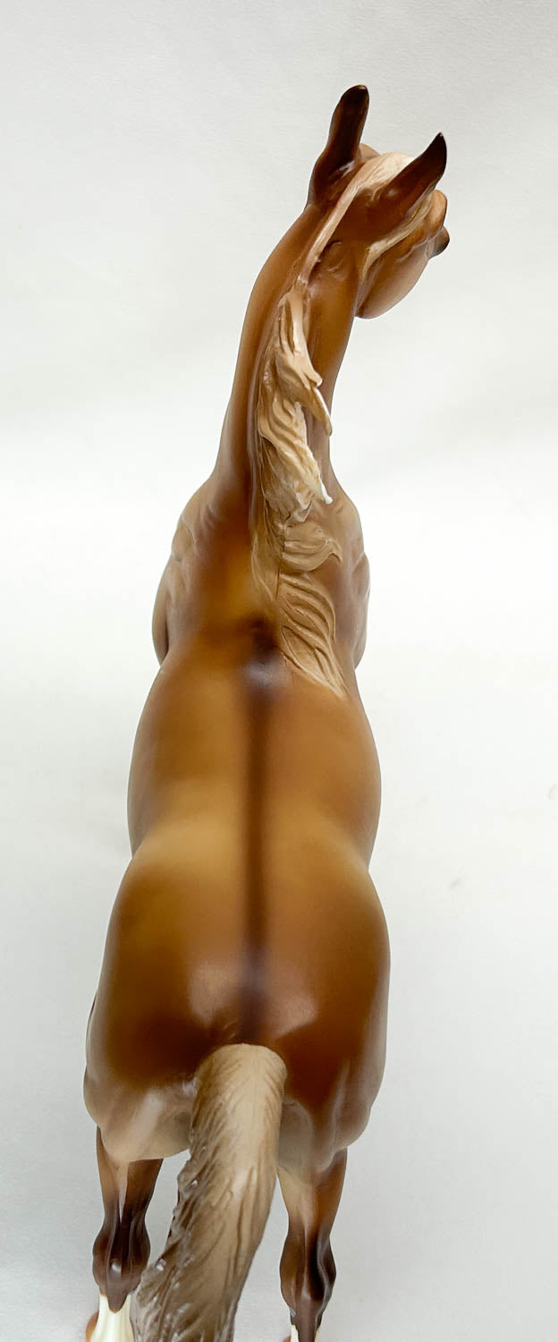 2013 Holiday Horse - American Saddlebred Stallion ~ Holiday On Parade