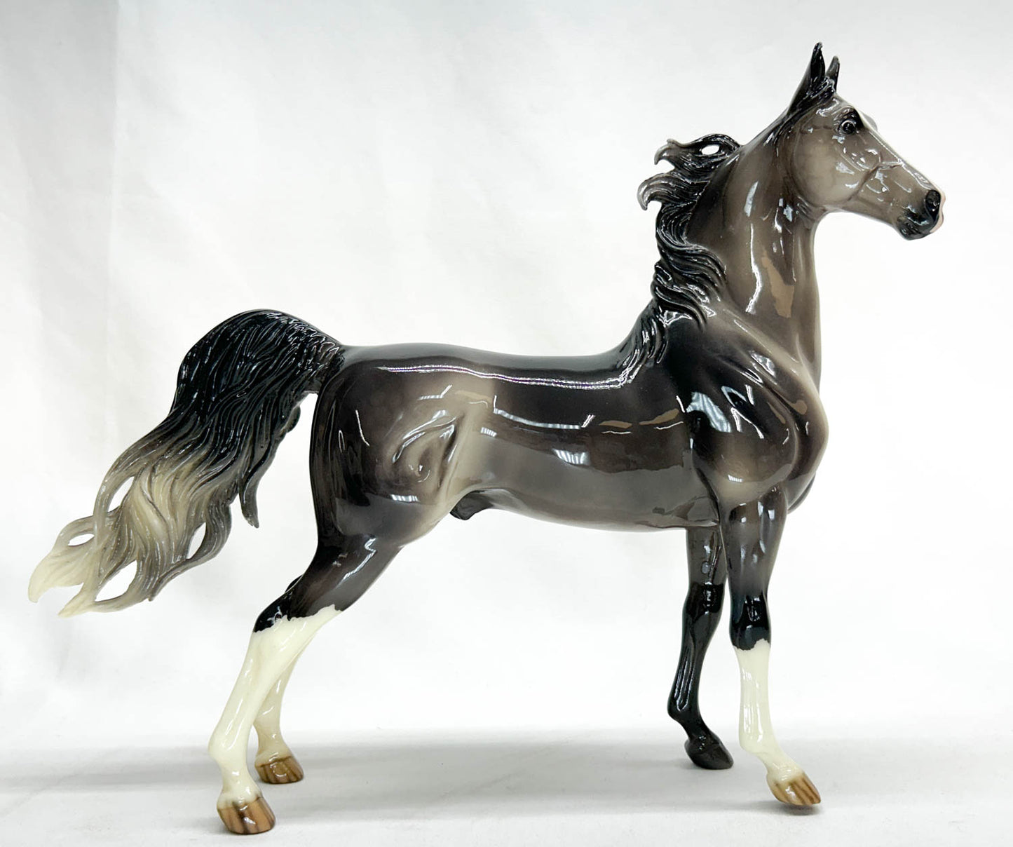 American Saddlebred Stallion ~ Ryman