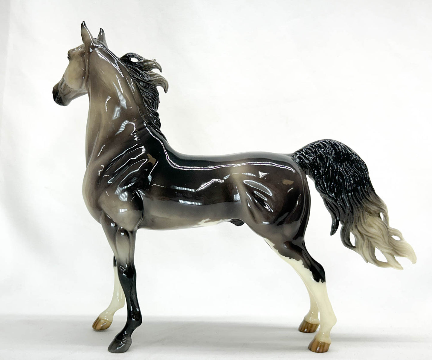 American Saddlebred Stallion ~ Ryman