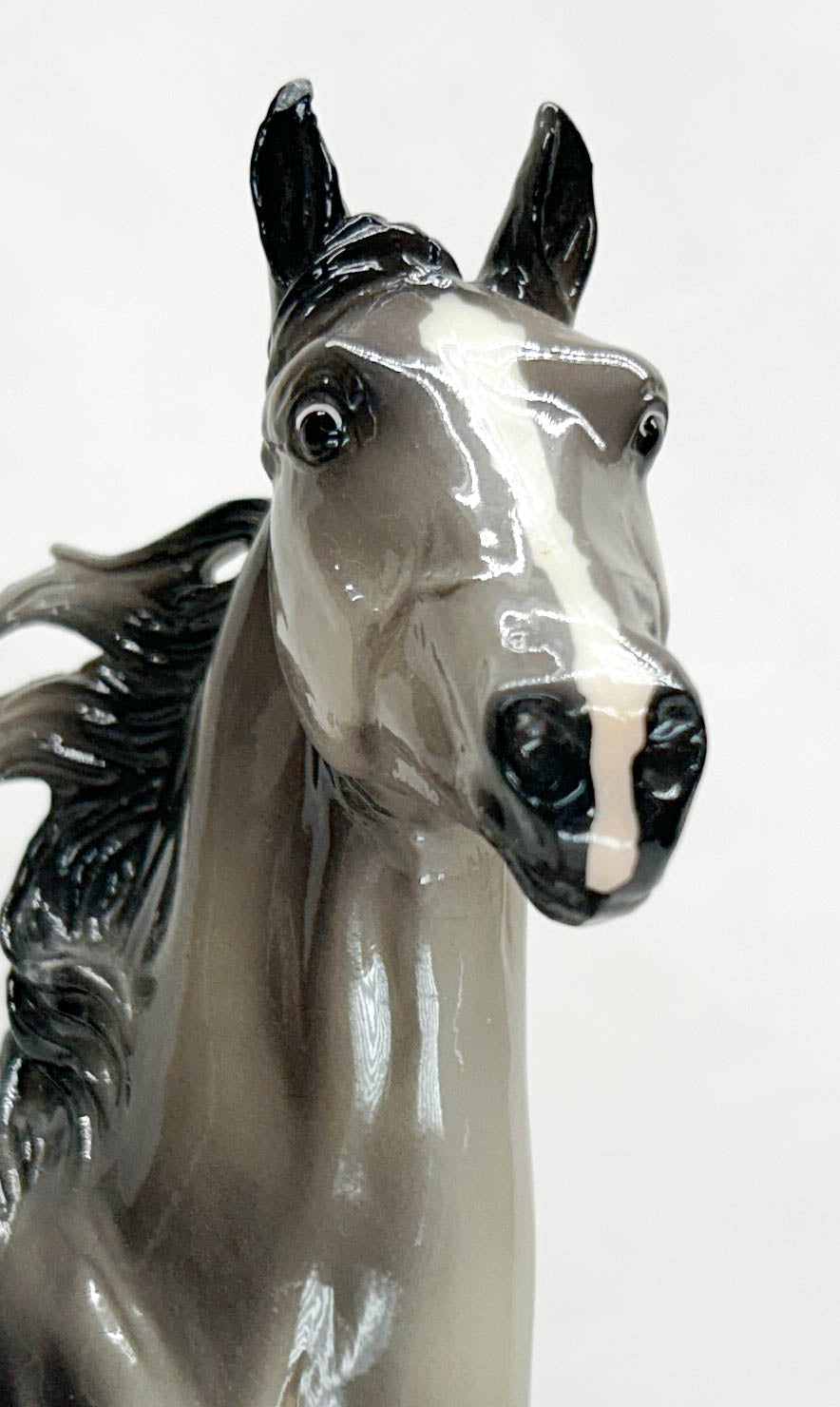 American Saddlebred Stallion ~ Ryman