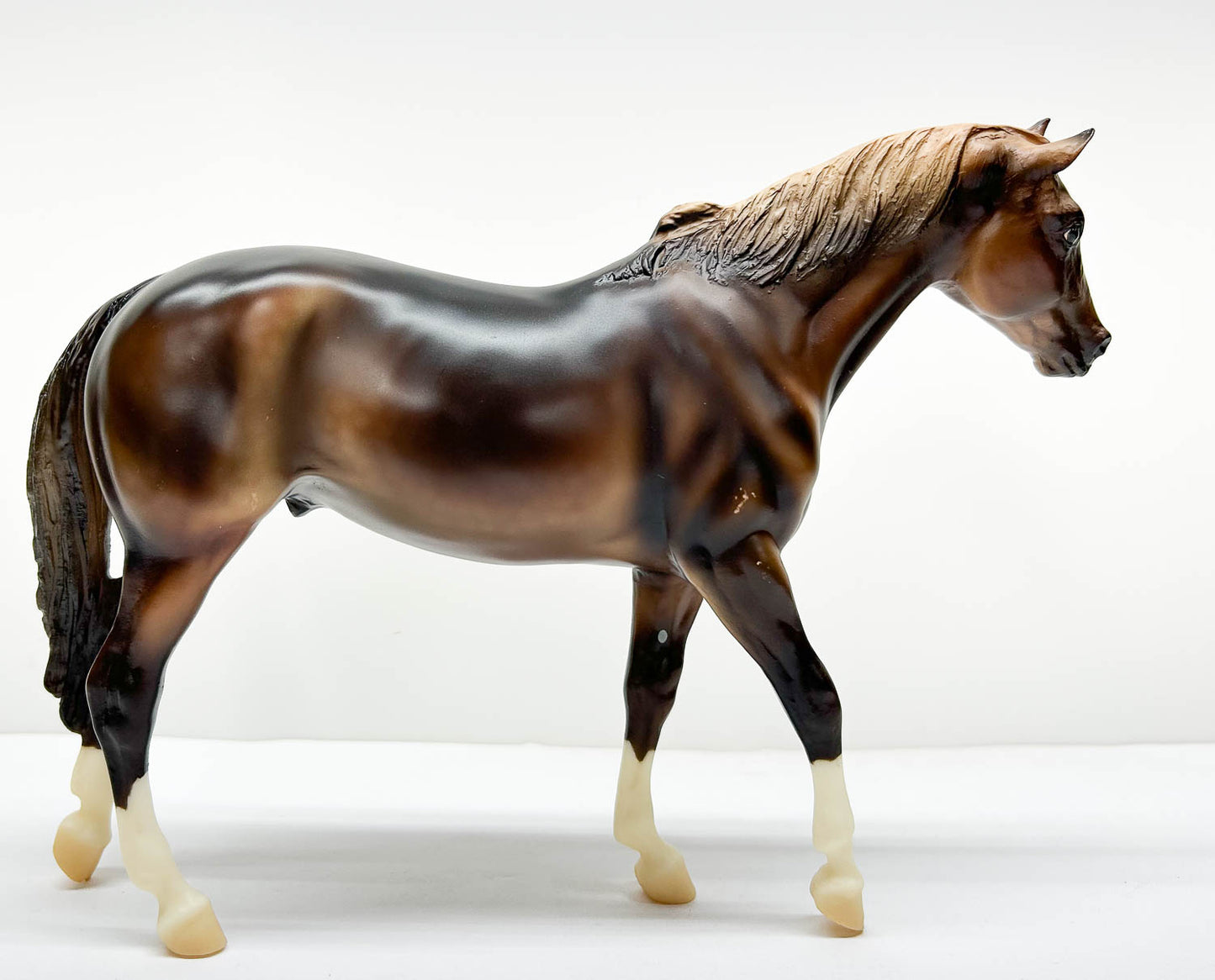 San Domingo, Liver Chestnut - ELCR Benefit Model