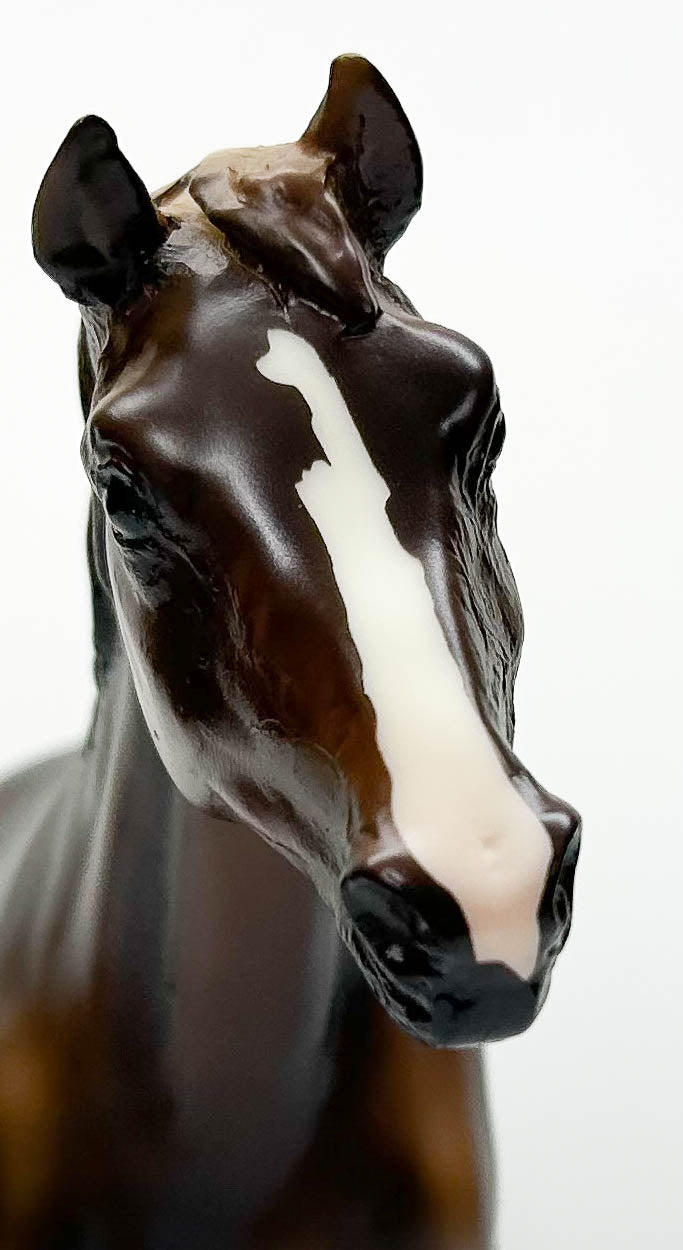 San Domingo, Liver Chestnut - ELCR Benefit Model