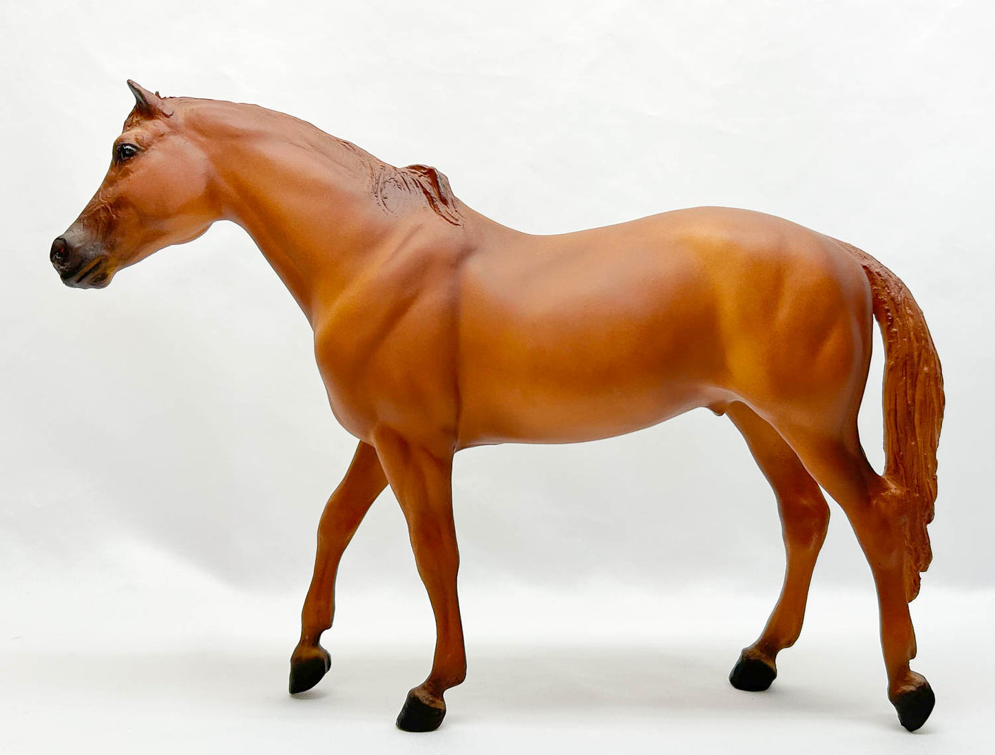 San Domingo ~ Pilgrim - "The Horse Whisperer"
